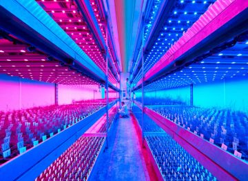 Multiple crop cycles per year