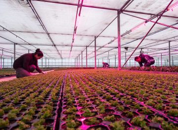 It is a win/win situation